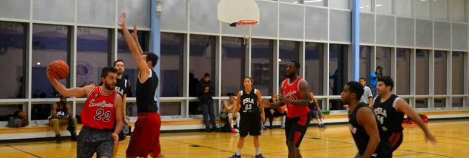 QSLA best CoEd league Toronto 2K Raptors