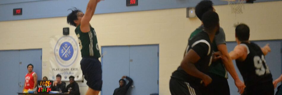 qsla best co-ed league Toronto 2k Raptors