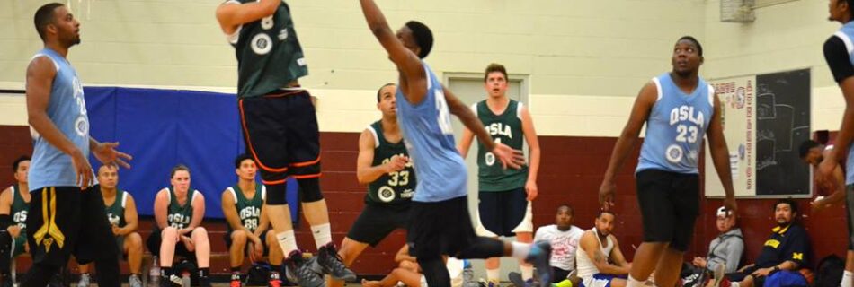 qsla best co-ed league Toronto 2k Raptors