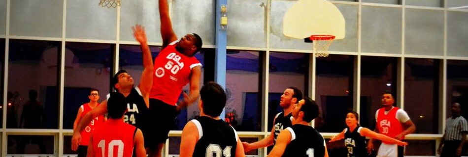 qsla best co-ed league Toronto 2k Raptors