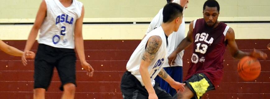 qsla best co-ed league Toronto 2k Raptors