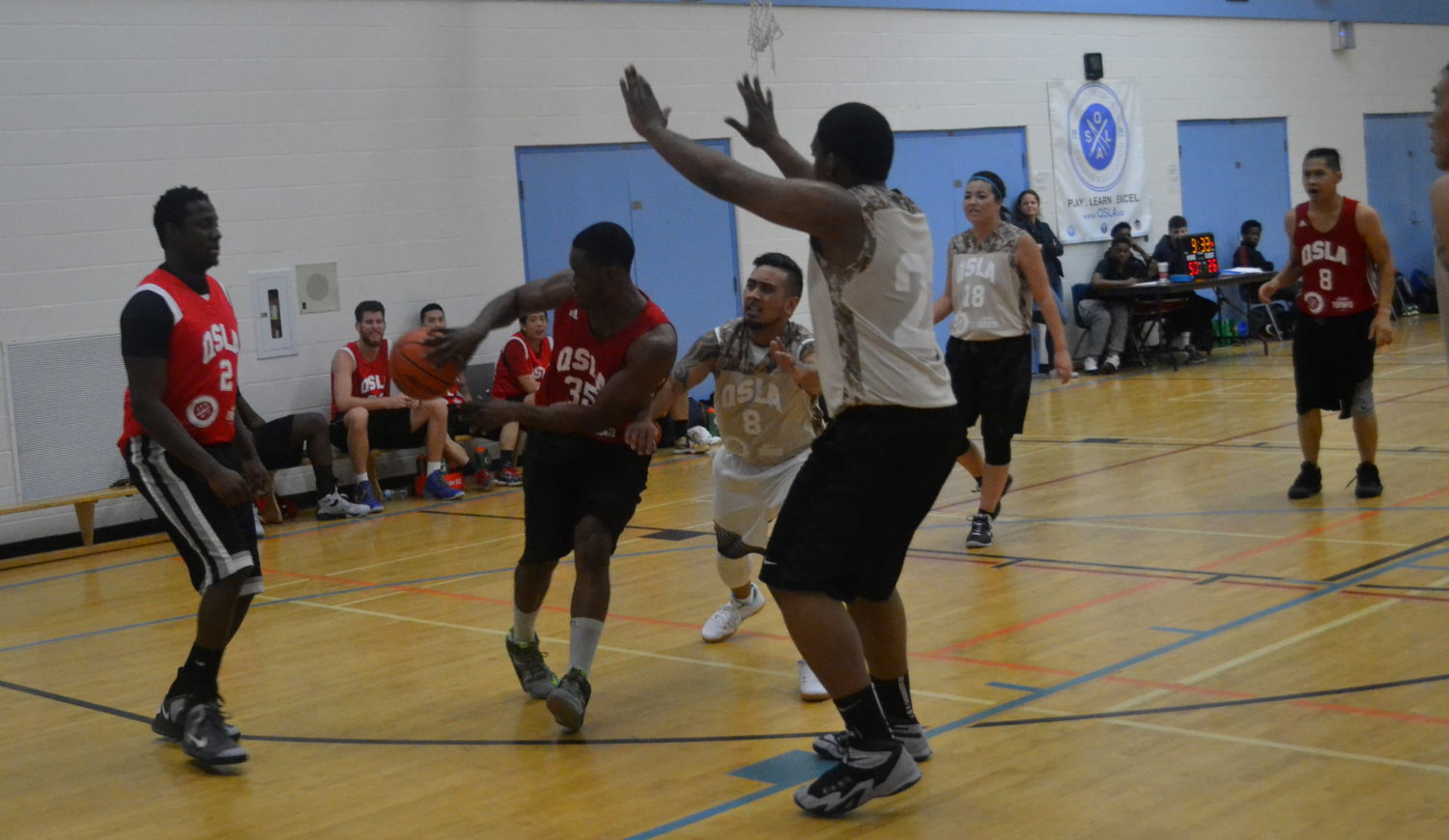 qsla coed basketball league Toronto 2k Raptors