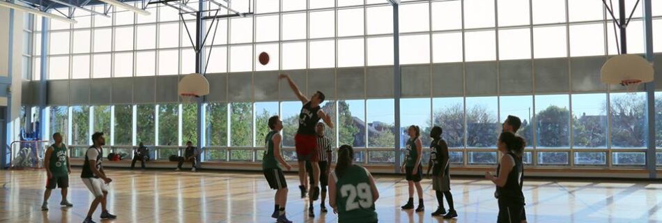 qsla coed basketball league Toronto 2k Raptors
