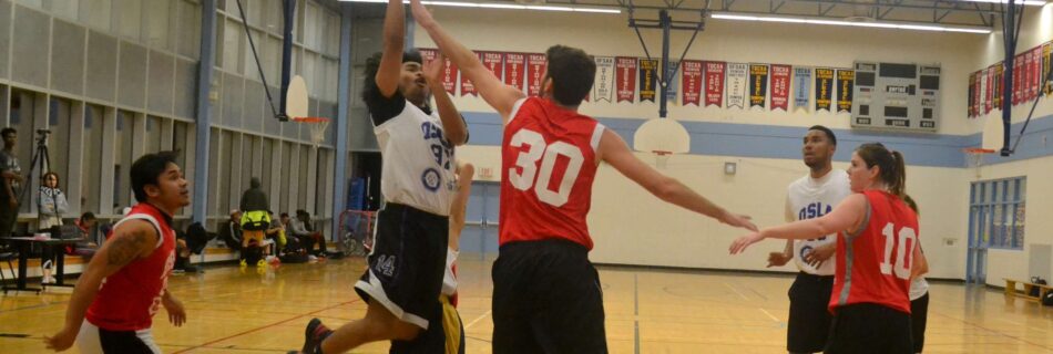 QSLA best CoEd league Toronto 2K Raptors