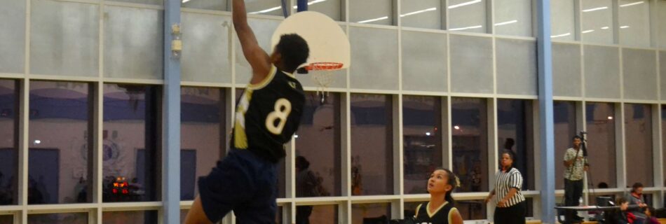 QSLA best CoEd league Toronto 2K Raptors