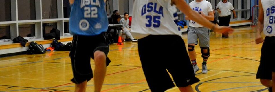 QSLA best CoEd league Toronto 2K Raptors